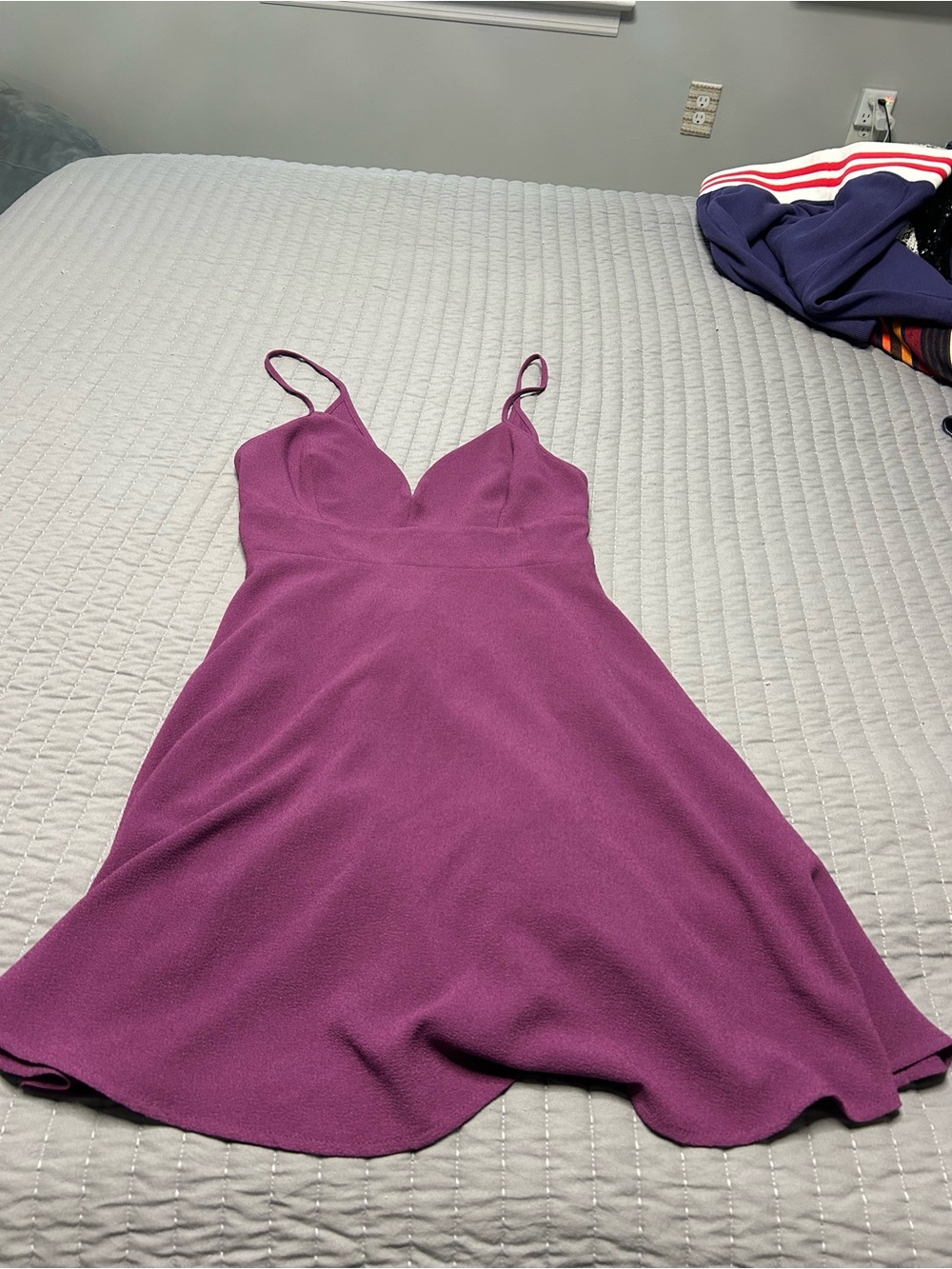 Windsor Plum Spaghetti Strap Mini Dress